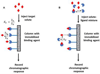 Kinetic Analysis by Affinity Chromatography